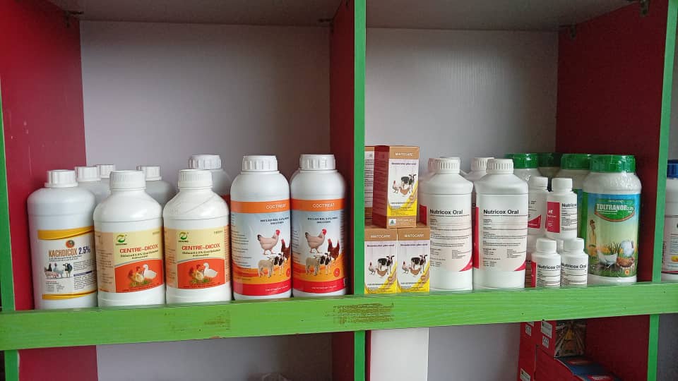 Veterinary field work